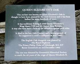 Queen Elizabeth's Oak