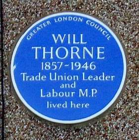 Will Thorne