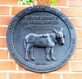 Working Donkeys of Covent Garden
