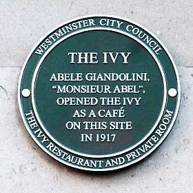 The Ivy