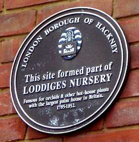 Loddiges Nursery